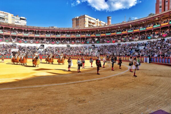 IMG-20250419-WA0076 IMG-20250419-WA0076