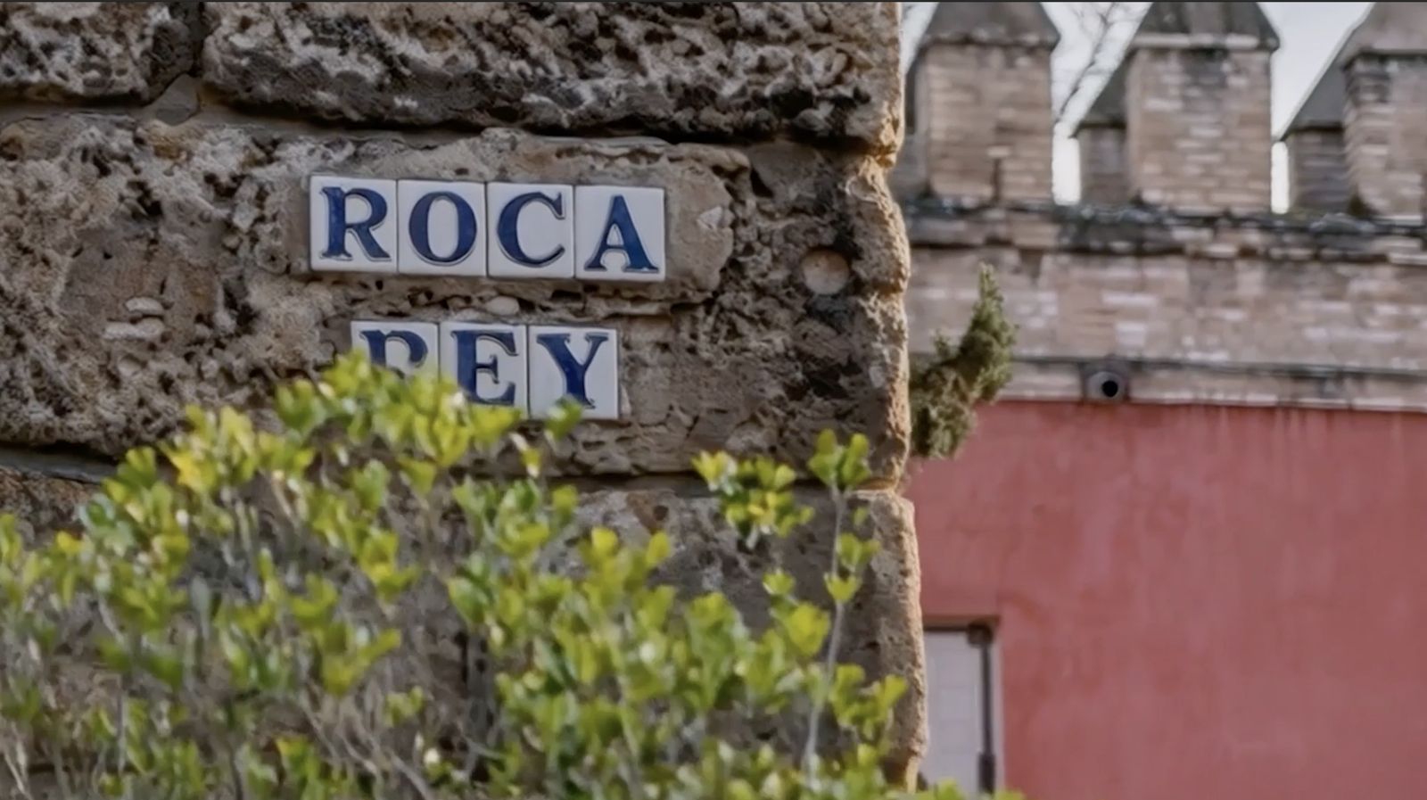 WhatsApp Image 2026-03-23 at 13.56.37