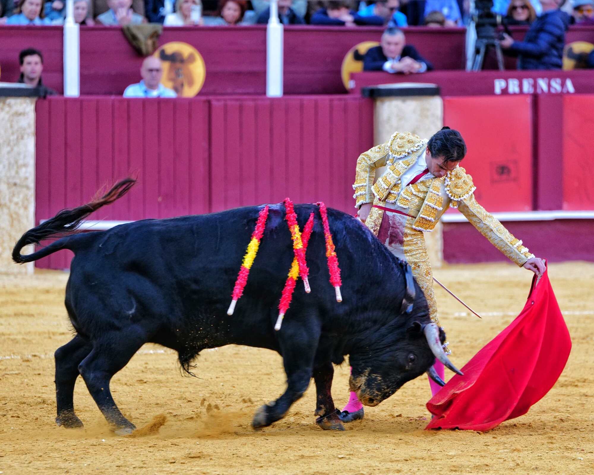 WhatsApp Image 2026-04-04 at 20.17.01